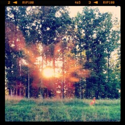 Across the field at sunset in July.