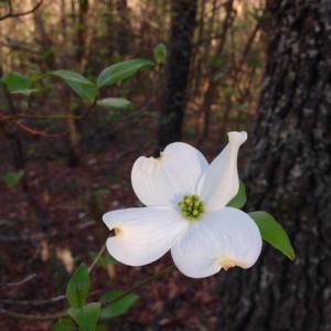 10393683_966266540092282_368902411858611733_n