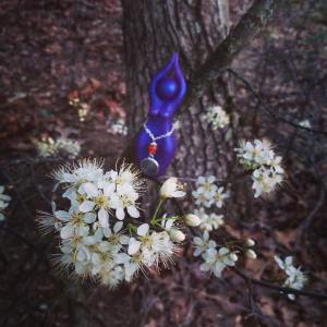 12901399_1722523711293177_6840123945282848509_o