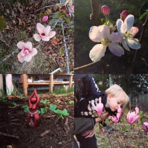 12923388_10209251349230783_6558438855981838360_n