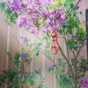 12931105_10209282533250364_682342399724750129_n