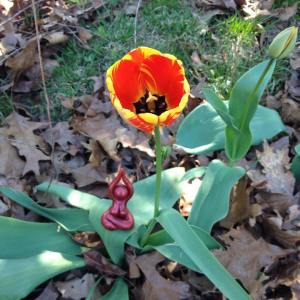 12968102_1726225294256352_2757301418834431404_o