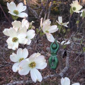 12983343_1727956937416521_4785497175588520928_o